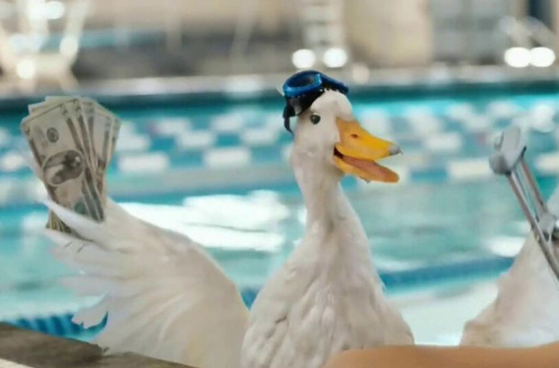 firebrand-brand-humor-blog-aflac-duck Image of Aflac duck with goggle in in pool holding cash in hand.