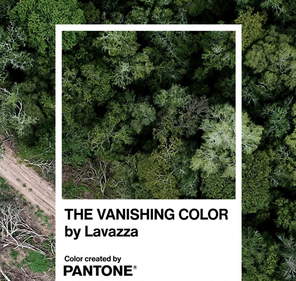 How Pantone Keeps the Planet Colorful