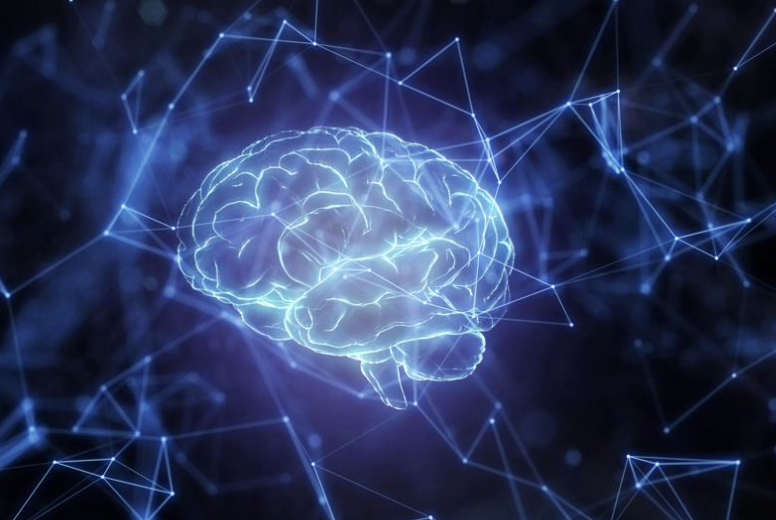 What Your Brain Thinks Of Productivity